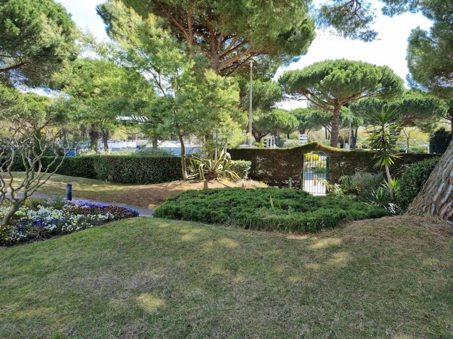 Superbe T2 Tout Confort 3 Etoiles, Entierement Renove Avec Piscine, Parking, Clim, Wifi, Netflix La Grande-Motte Eksteriør billede