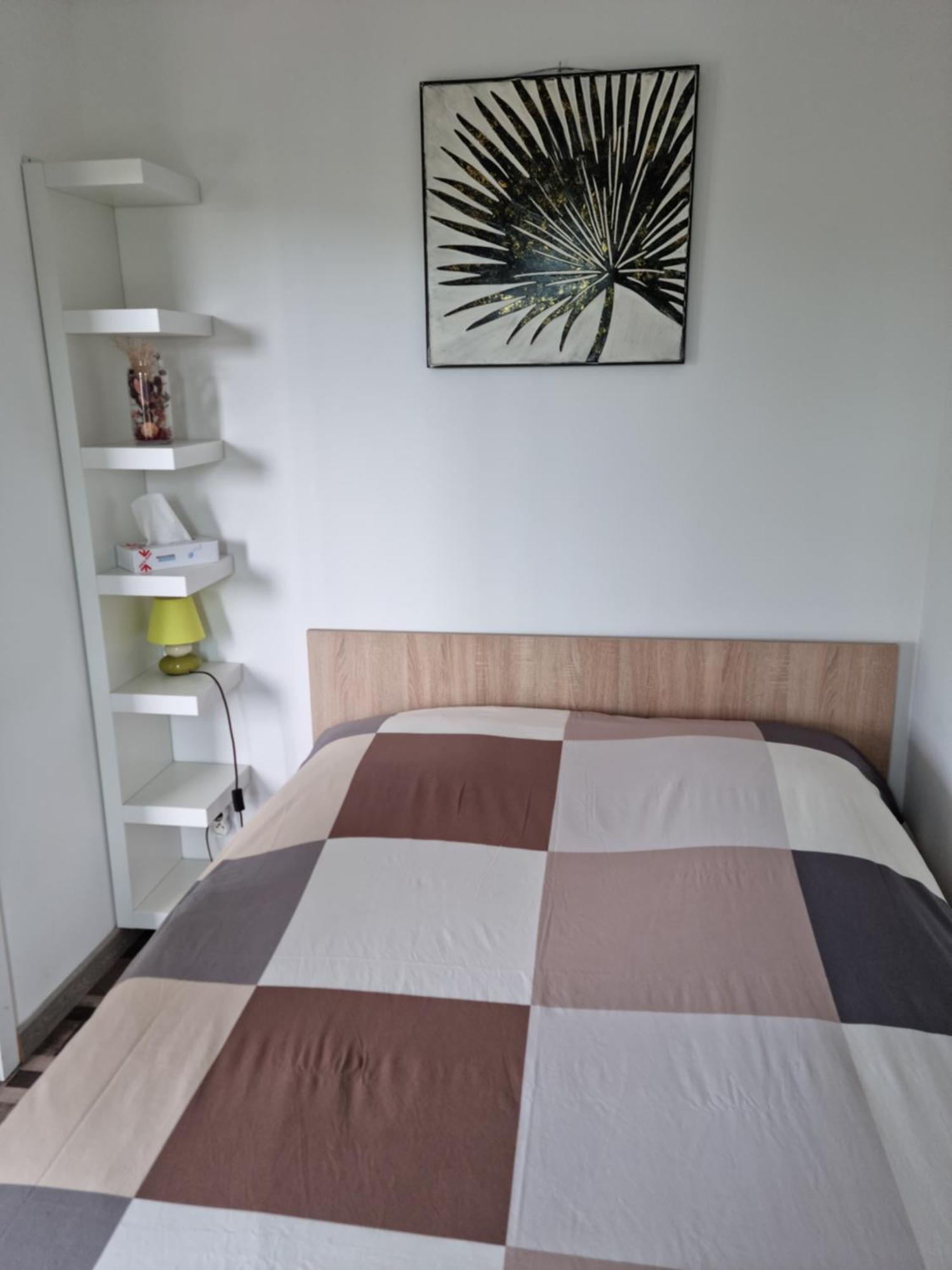 Superbe T2 Tout Confort 3 Etoiles, Entierement Renove Avec Piscine, Parking, Clim, Wifi, Netflix La Grande-Motte Eksteriør billede